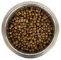 Yourdog Dwerg- Of Toypoedel Pup 12 Kg