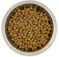 Yourdog Dwerg- Of Toypoedel Volwassen 12 Kg